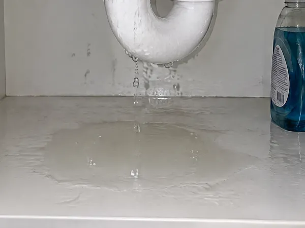 Water pooled on the cabinet floor under the trap in unit 2
